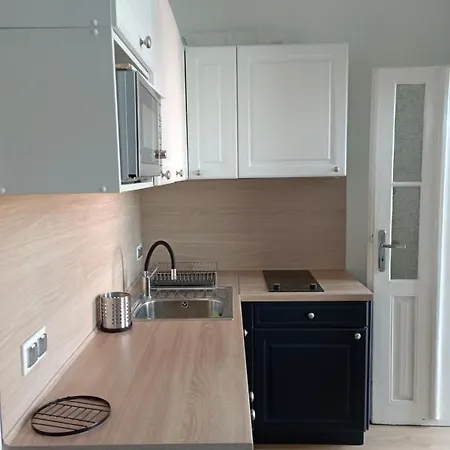 Blekitne Appartement Żywiec